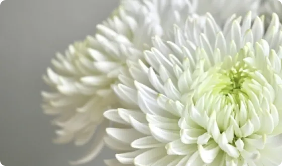 供養・お焚き上げ