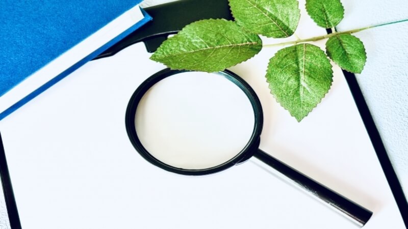 バインダーと虫眼鏡